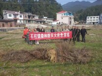 以练为战，防患未燃——洞口县石柱镇开展森林防灭火应急演练