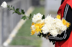 以花为祭 以心缅怀！资兴民政全力守护绿色清明
