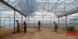 开局八好·乘势而上｜衡阳市：农业农村经济稳中有进质效双升  去年，全市完成农林牧渔总产值886.62亿元，增速4.6%