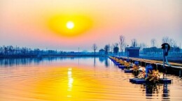 水韵安乡|湘江副刊·湘韵