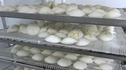 靖州茯苓米糕走俏市场，茯苓深加工赋能产业发展