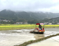 双牌茶林镇：绿肥还田培地力 深耕沃土育新禾