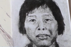 追踪23年“梅姨”落网背后：法网恢恢 疏而不漏