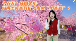 把扩大内需摆在首位，湖南如何答好这道“必答题”？