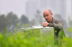 Researchers Develop New Rice Category with Lower Methane Emissions and Higher Rice Yield