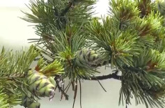 江南春雨提前23天报到 今春我国降水呈现哪些特点？