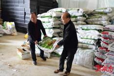 韶山：春耕底气足 田畴绿意浓