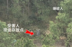 山林中藏了8万元现金，无人机迅速升空……
