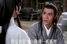 你是否在雪山救过一只狐狸