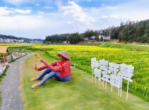 开慧镇宠你！3月27日邀你赏花，帮你找工作|花田不错⑩