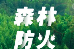 衡阳县林业局组织指导国有林场扎实开展森林防火“五边两内”可燃物集中清理行动