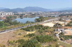 中老铁路运输货物突破8000万吨 “黄金大通道”活力尽显