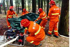 辰溪：清明将至防火先行 以练为战守护青山