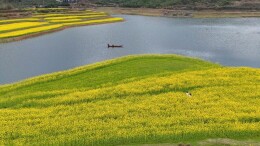 超出片！怀化辰溪，竟藏了一片“水中花海”