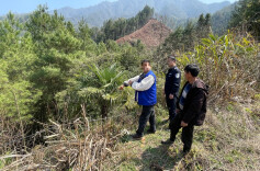 溆浦森林公安破获一起危害国家重点保护植物案