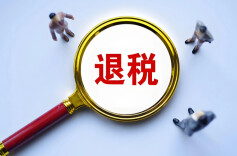 专家：切勿听信“退税秘籍” 虚假个税申报属违法
