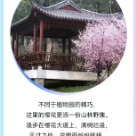 乘长株潭城铁，赴一场春日花约