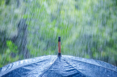 三轮降水密集来袭 南方地区阴雨持续局地有暴雨