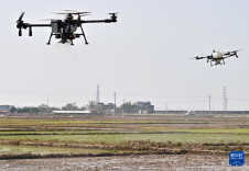 春耕“科技范”