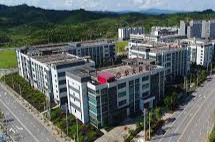 湘琼县域合作，麻阳先行一步——飞地园区里，橡胶产业链风起正劲