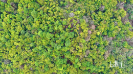 昭山：山市晴岚处，遇见春天