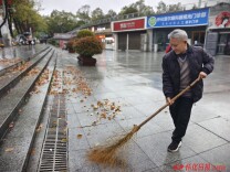 春雨落樟叶 环卫守洁净 ——城区环卫工人一线保洁见闻