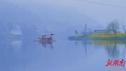 娄底文苑（285）|烟雨杏花涟水河