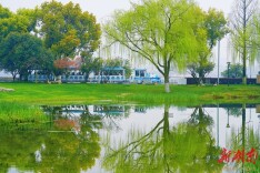 Spring Scenery on Orange Isle