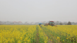 汨罗：“秸秆还田+深翻耕+绿肥种植”解锁春耕“新耕法”