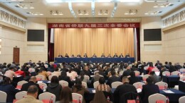 湖南省侨联九届三次全委会议召开