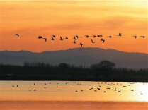 2025年全国生态旅游接待游客量超30亿人次