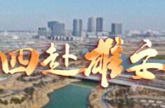 时政专题片丨四赴雄安