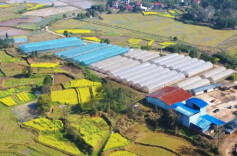 “指尖”轻松种田，秸秆可换化肥——永州：智慧种田有“秘诀”@湖南日报要闻头条