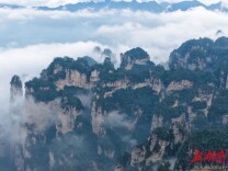 中外游客打卡张家界 解锁雨后春日仙境