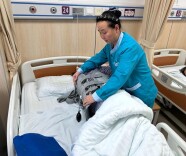 医院免陪照护服务试点近一年，和请护工有何区别？