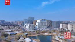 时政现场说丨扎根雄安沃土 共创美好未来