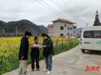 会同：田间杆线清理整治有序推进，护航耕地提质增效