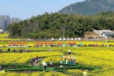 衡阳春假政策带动亲子游，长沙12岁以下儿童机票量增1倍