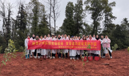 中南院组织开展义务植树志愿服务活动