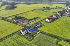 Golden Spring Scenery in Taojiang County