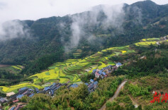 中方：雨歇云雾起 青山绿水藏诗意