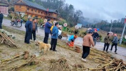 隆回:送苗进村添新绿  “一村一品”绘新景