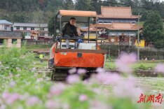 图片新闻 | 通道：沃野春耕忙