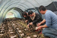 王令波：攻坚决战集中整治 坚决夺取更大胜利