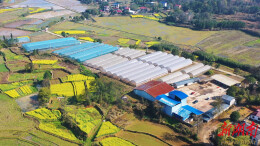 “95后”新农人玩转AI育秧——零陵春耕跑出智慧“加速度”@湖南日报