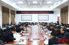 柳林洲城乡融合发展新样板初步规划设计汇报会召开