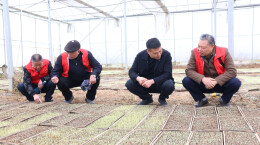 退休不褪色！邵东“金夕阳”志愿服务队护航春耕生产