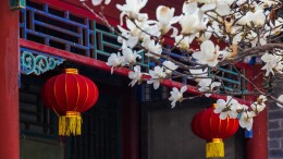 白云观：青烟袅袅，玉兰花开正盛