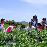 让每个春天都不被辜负丨我省中小学春秋假落地观察走笔