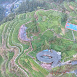 赴一场茶香与书香的约会！湘西州2026年网宣活动启动啦